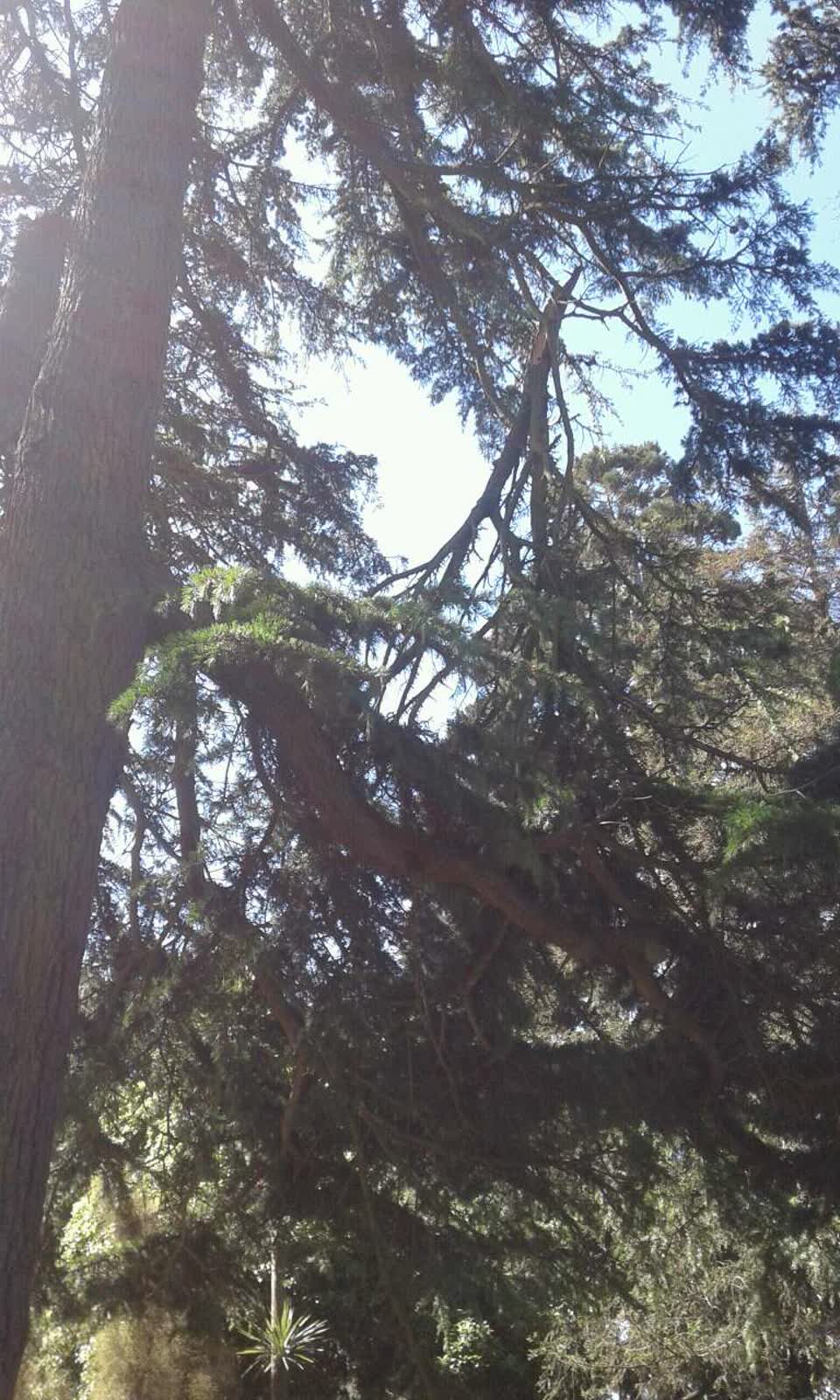The photograph attached to this parks report