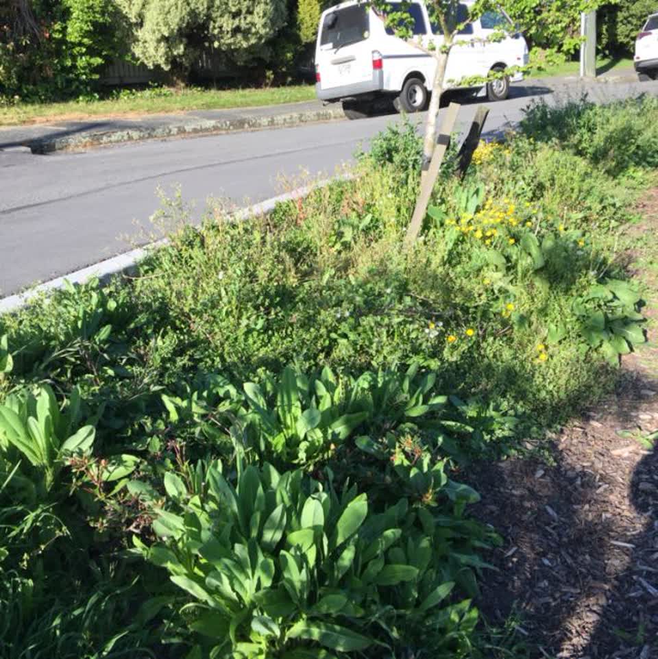 The photograph attached to this parks report