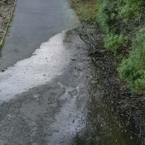 Roading/Streets, a report photo