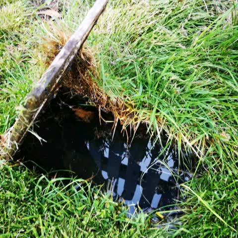 Water Supply, a report photo