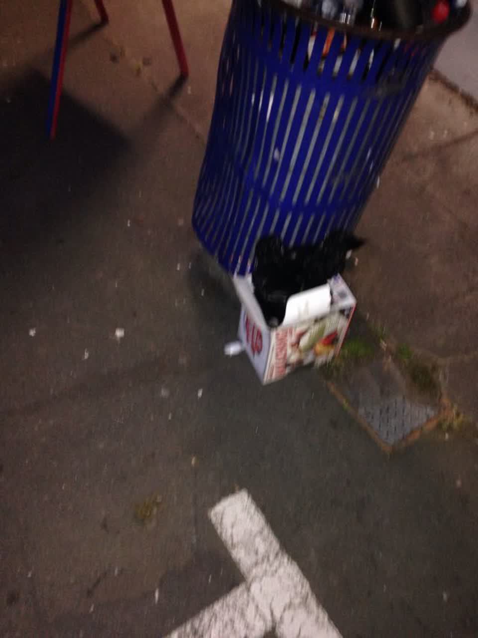 The photograph attached to this rubbish/recycling report