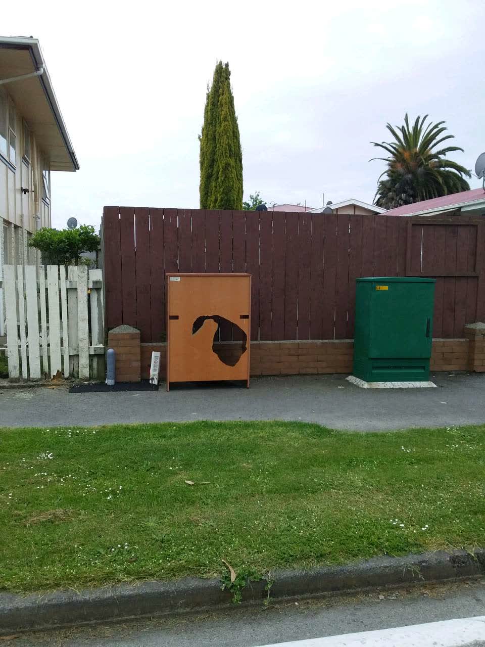 The photograph attached to this rubbish/recycling report