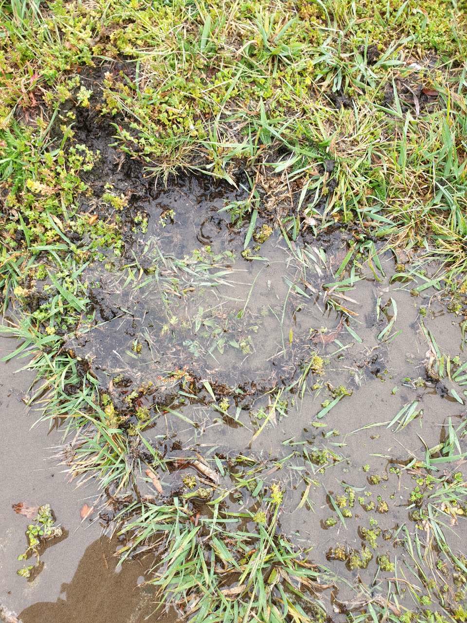 The photograph attached to this water supply report