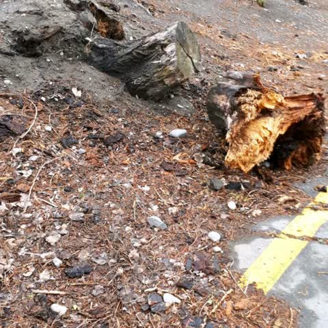 Rubbish/Recycling, a report photo