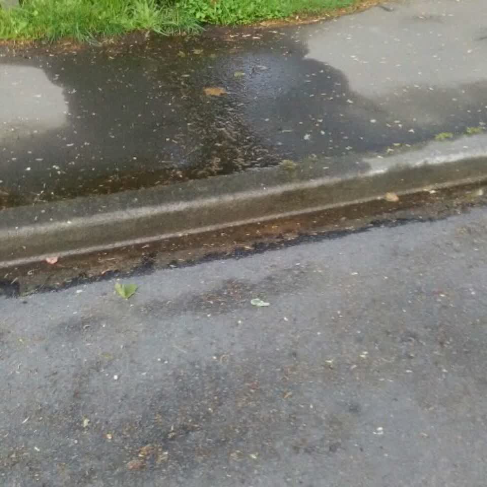 The photograph attached to this wastewater/stormwater report