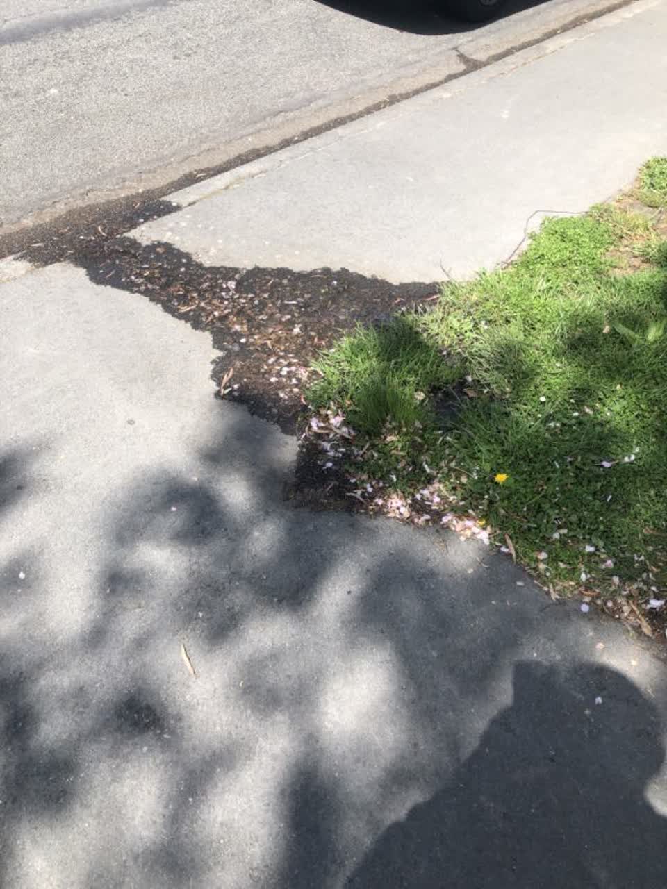 The photograph attached to this water supply report