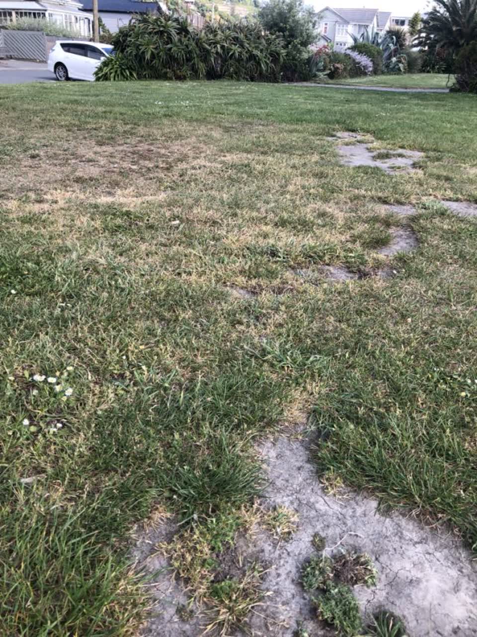 The photograph attached to this parks report
