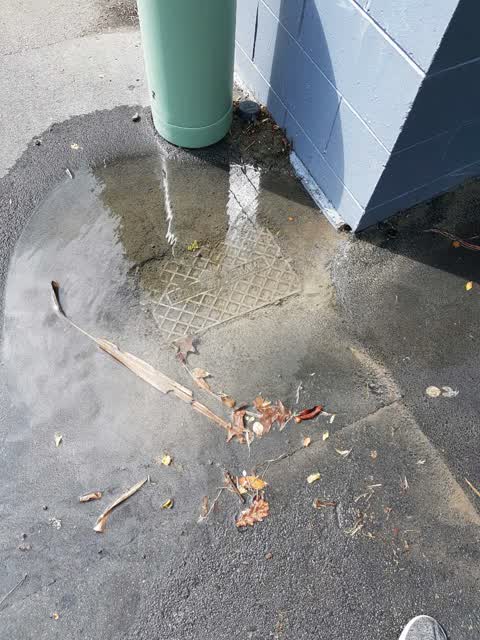 Flooding, a report photo