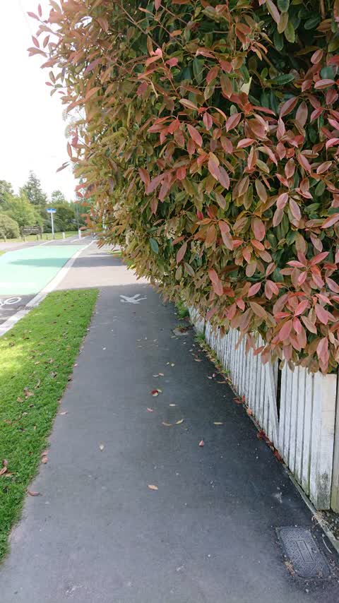 Roading/Streets, a report photo