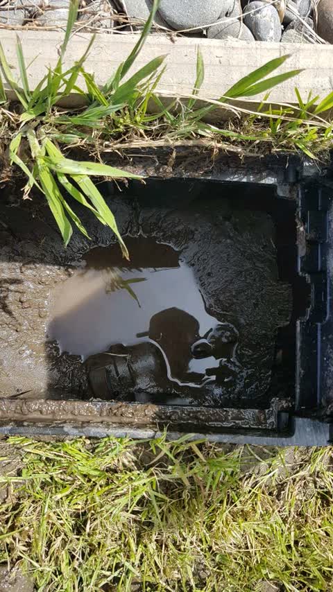 Water Supply, a report photo