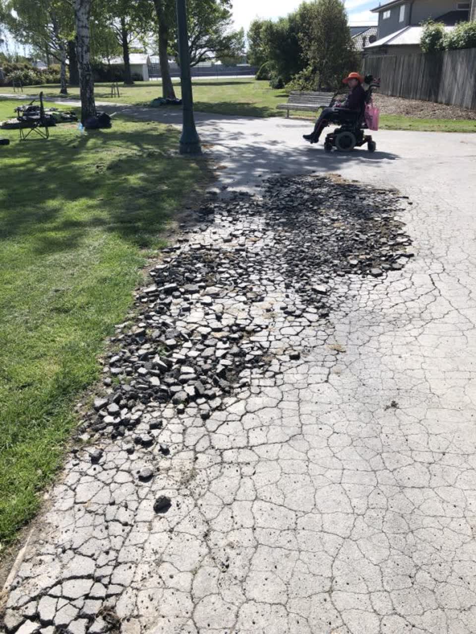The photograph attached to this parks report