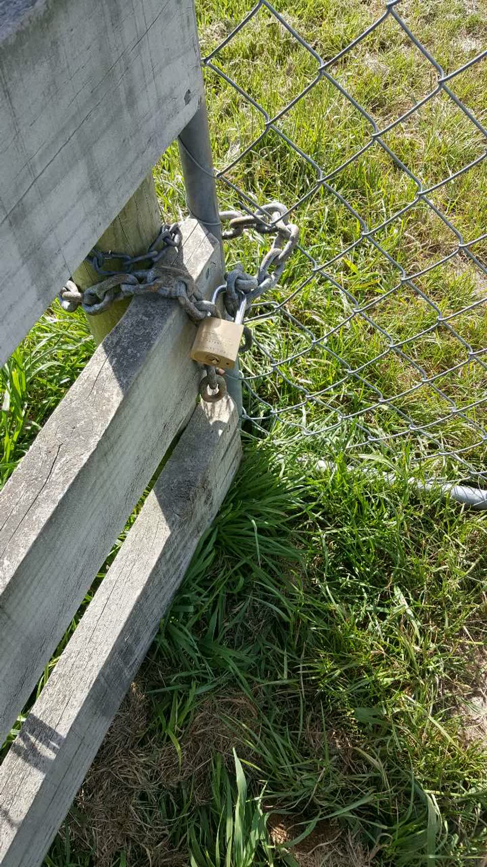 The photograph attached to this parks report