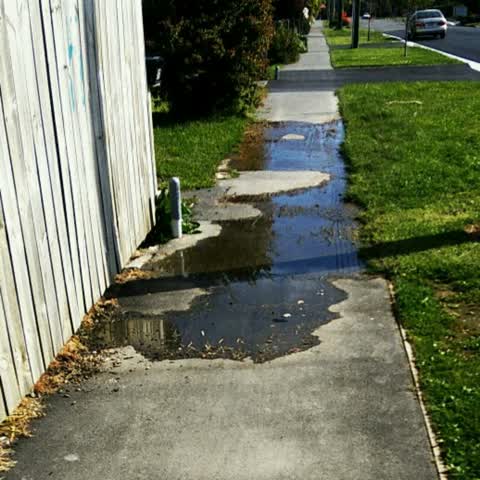 Flooding, a report photo