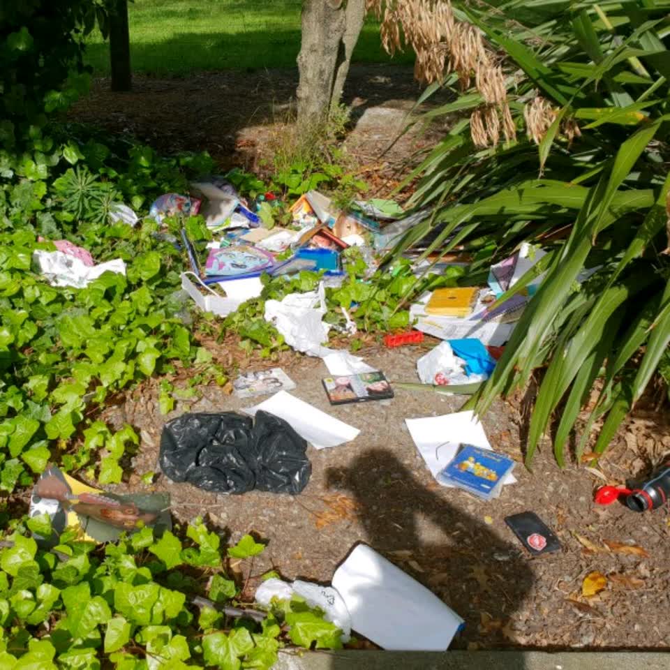 The photograph attached to this rubbish/recycling report