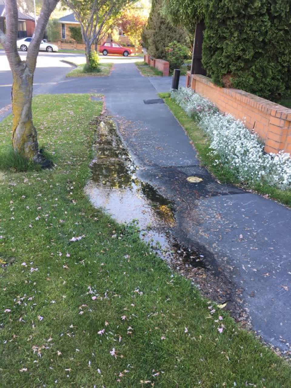 The photograph attached to this water supply report