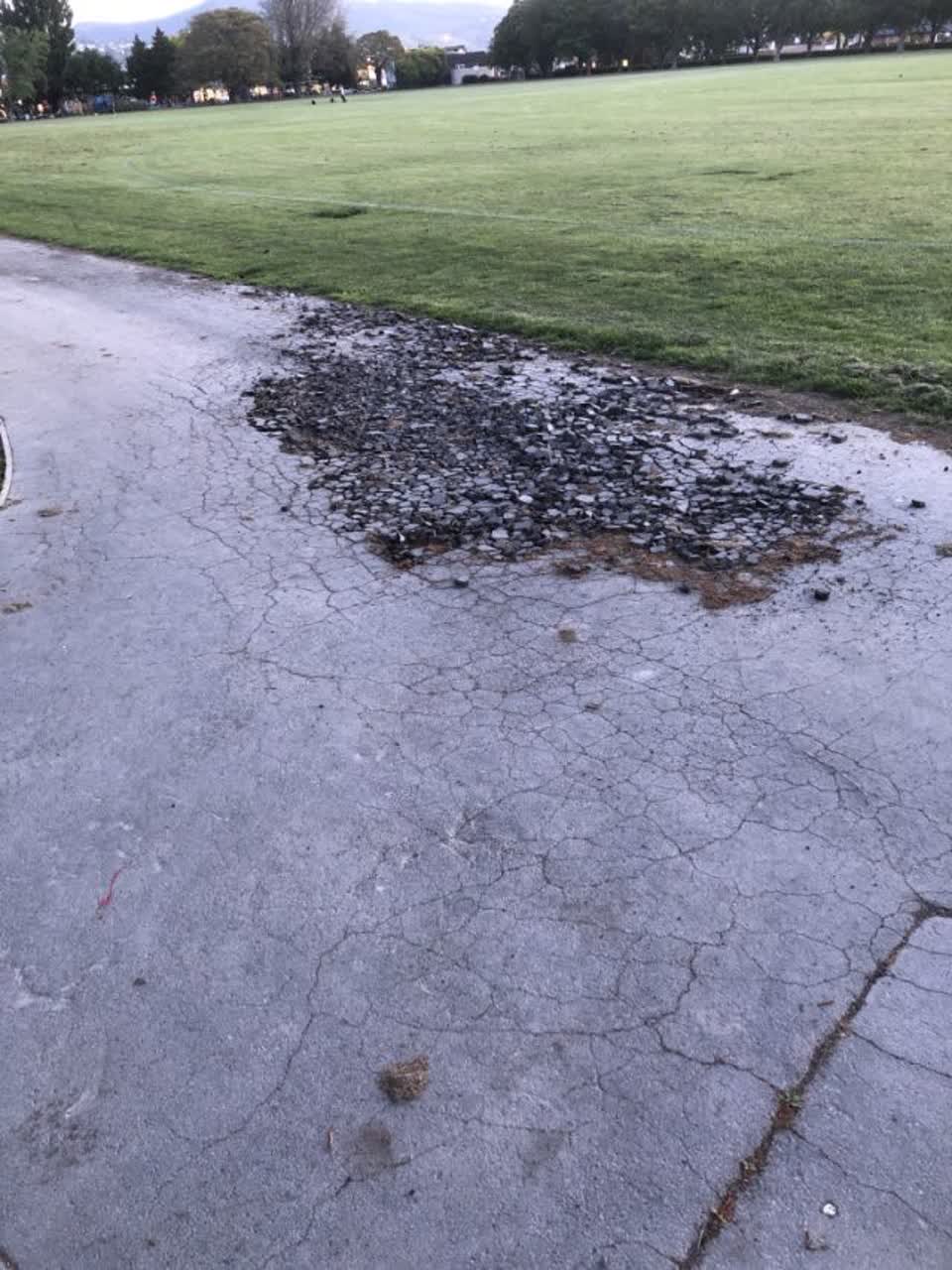 The photograph attached to this parks report