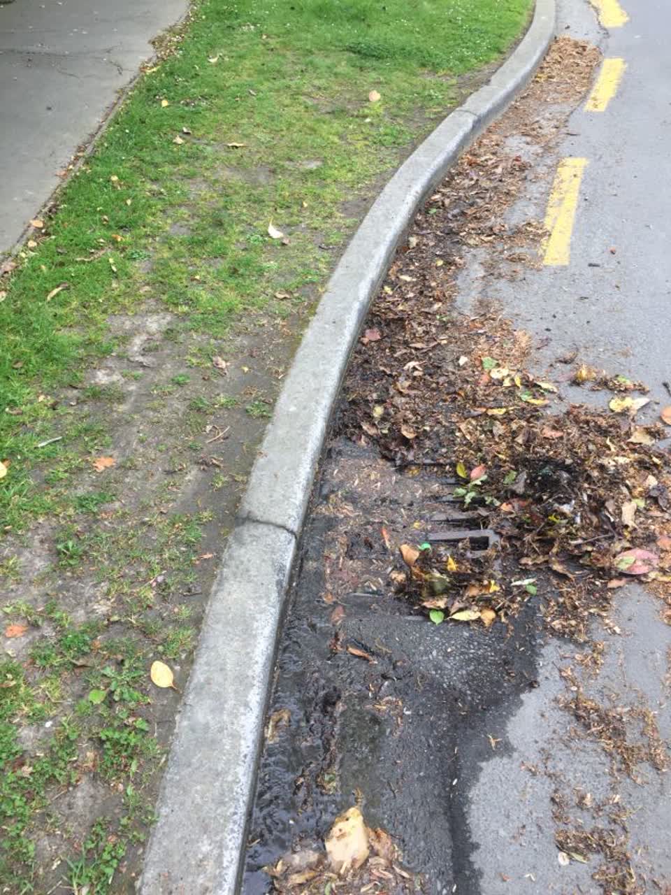 The photograph attached to this wastewater/stormwater report