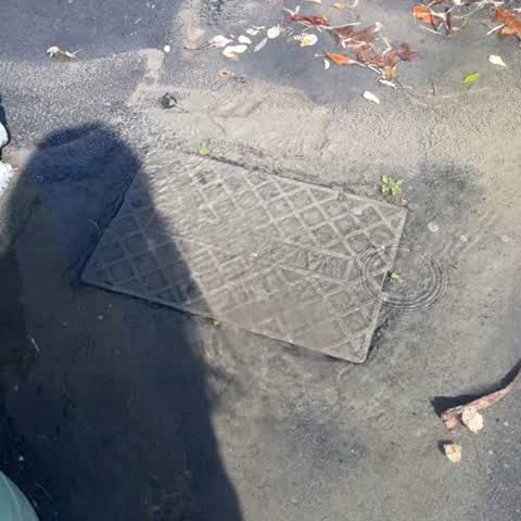 Roading/Streets, a report photo