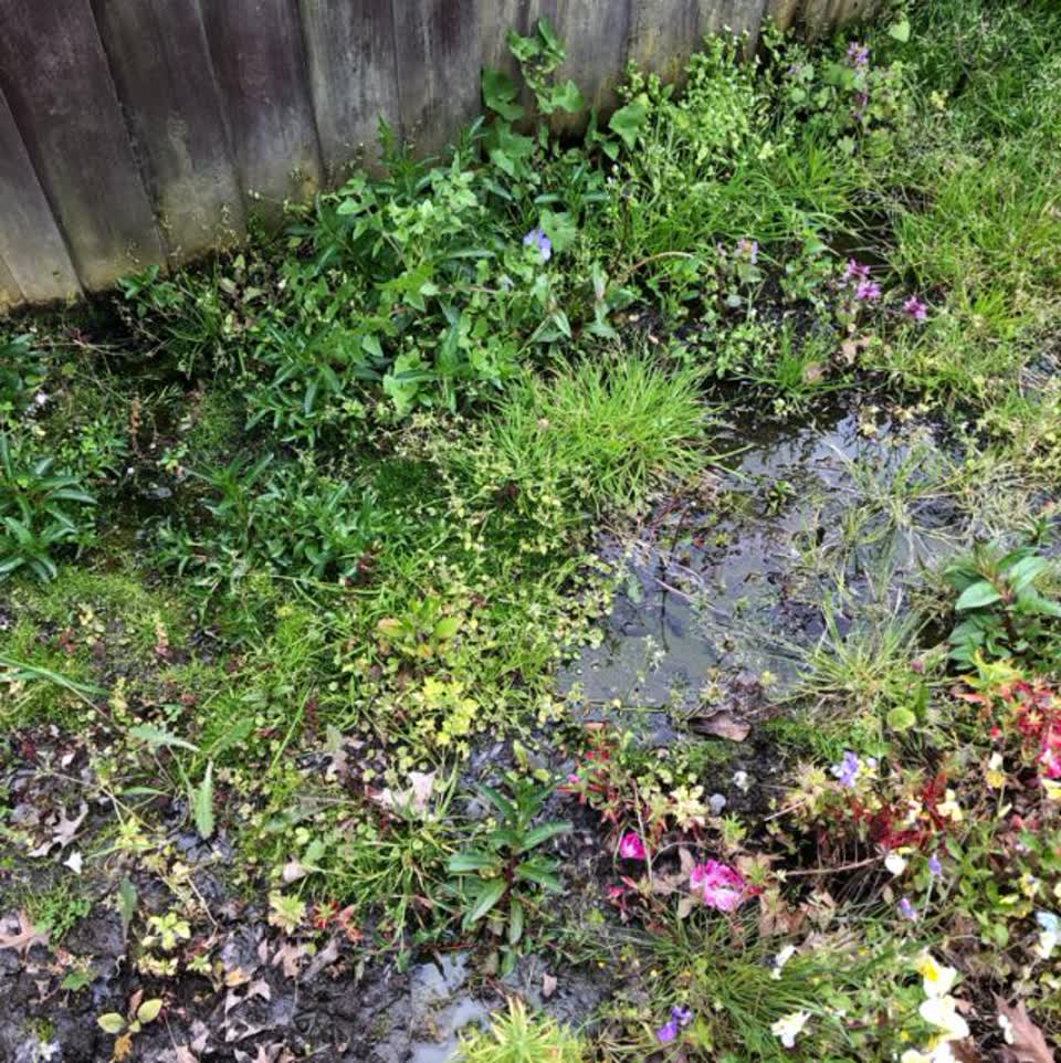 The photograph attached to this flooding report