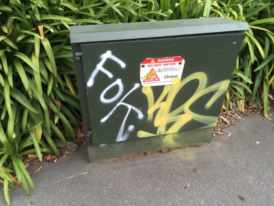 The photograph attached to this graffiti report
