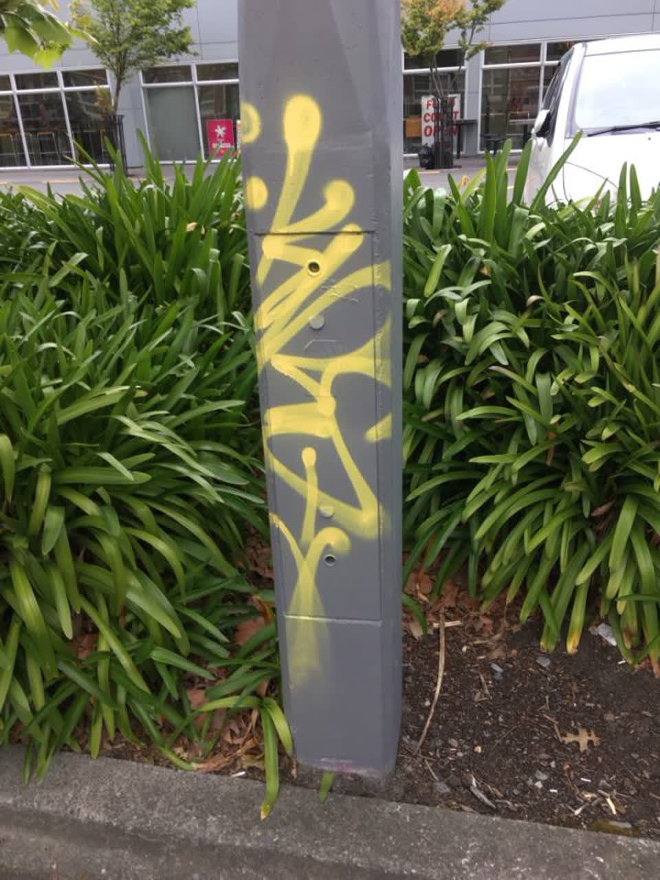 The photograph attached to this graffiti report