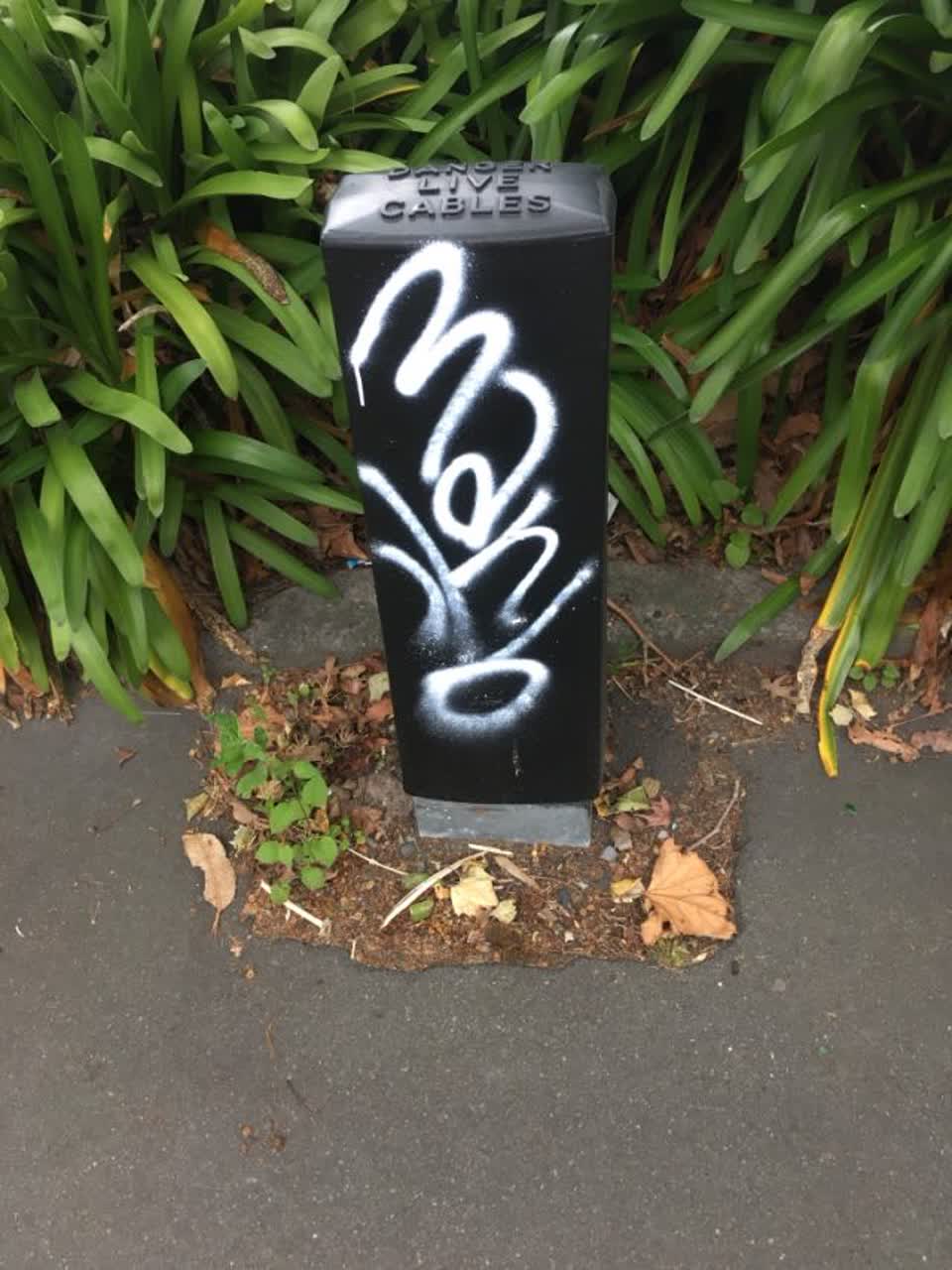 The photograph attached to this graffiti report