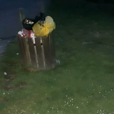 Rubbish/Recycling, a report photo