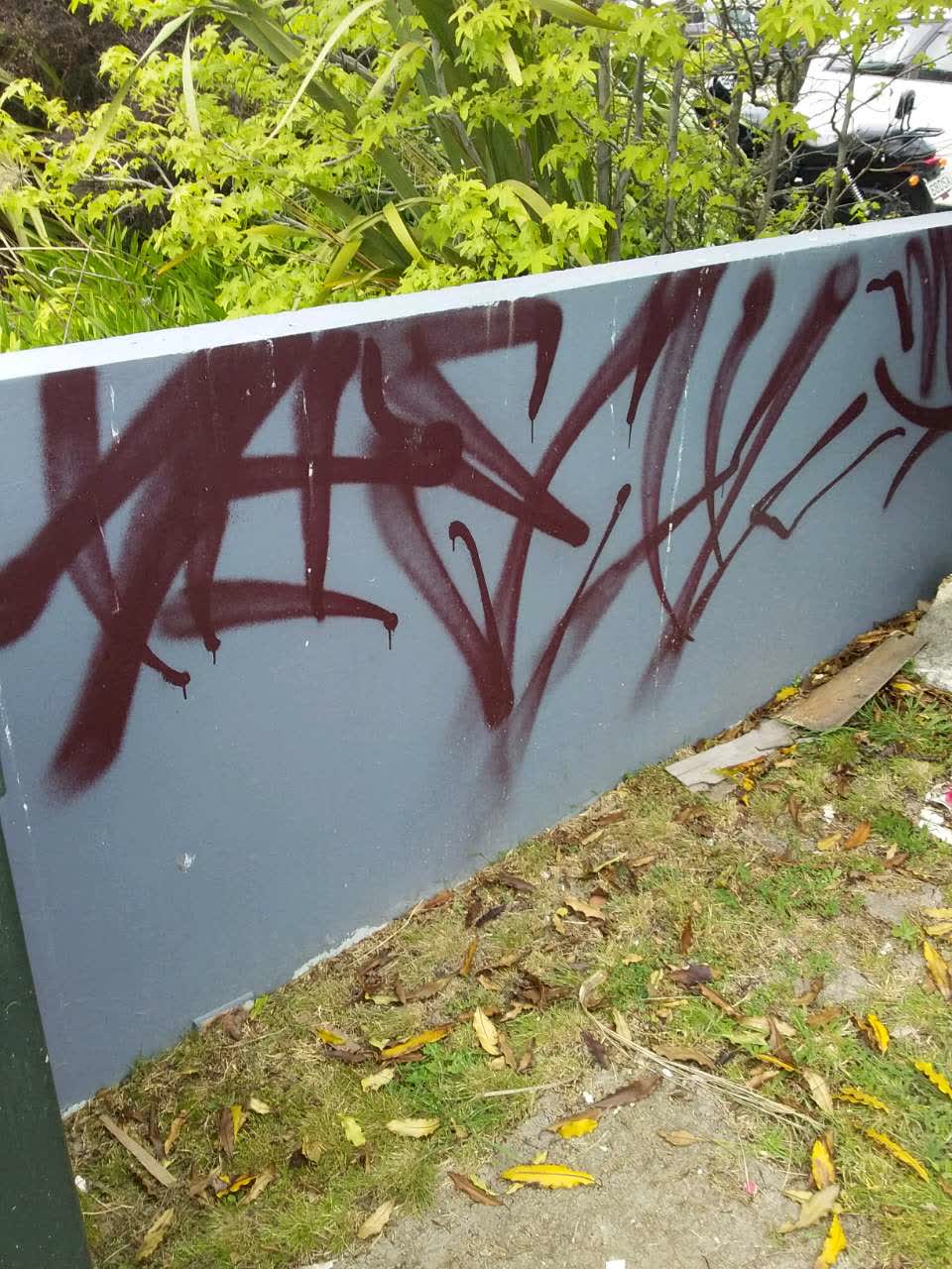 The photograph attached to this graffiti report