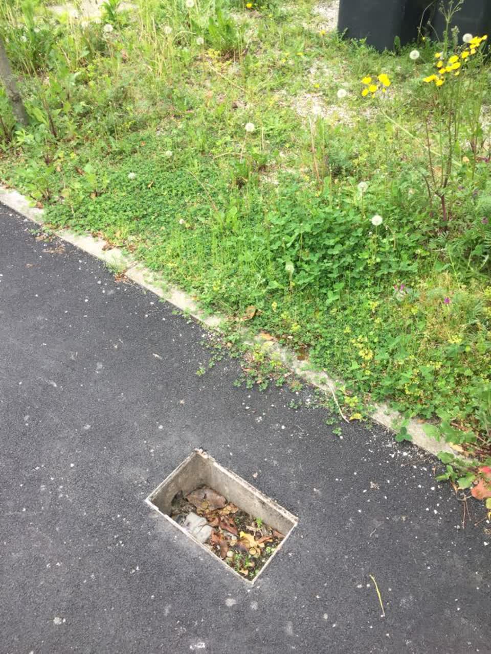 The photograph attached to this water supply report