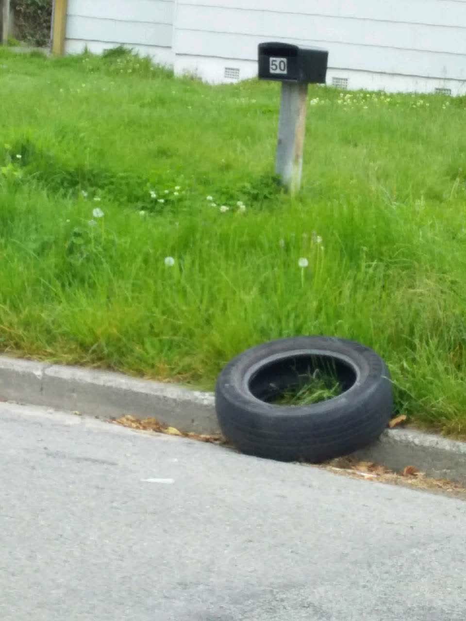 The photograph attached to this rubbish/recycling report