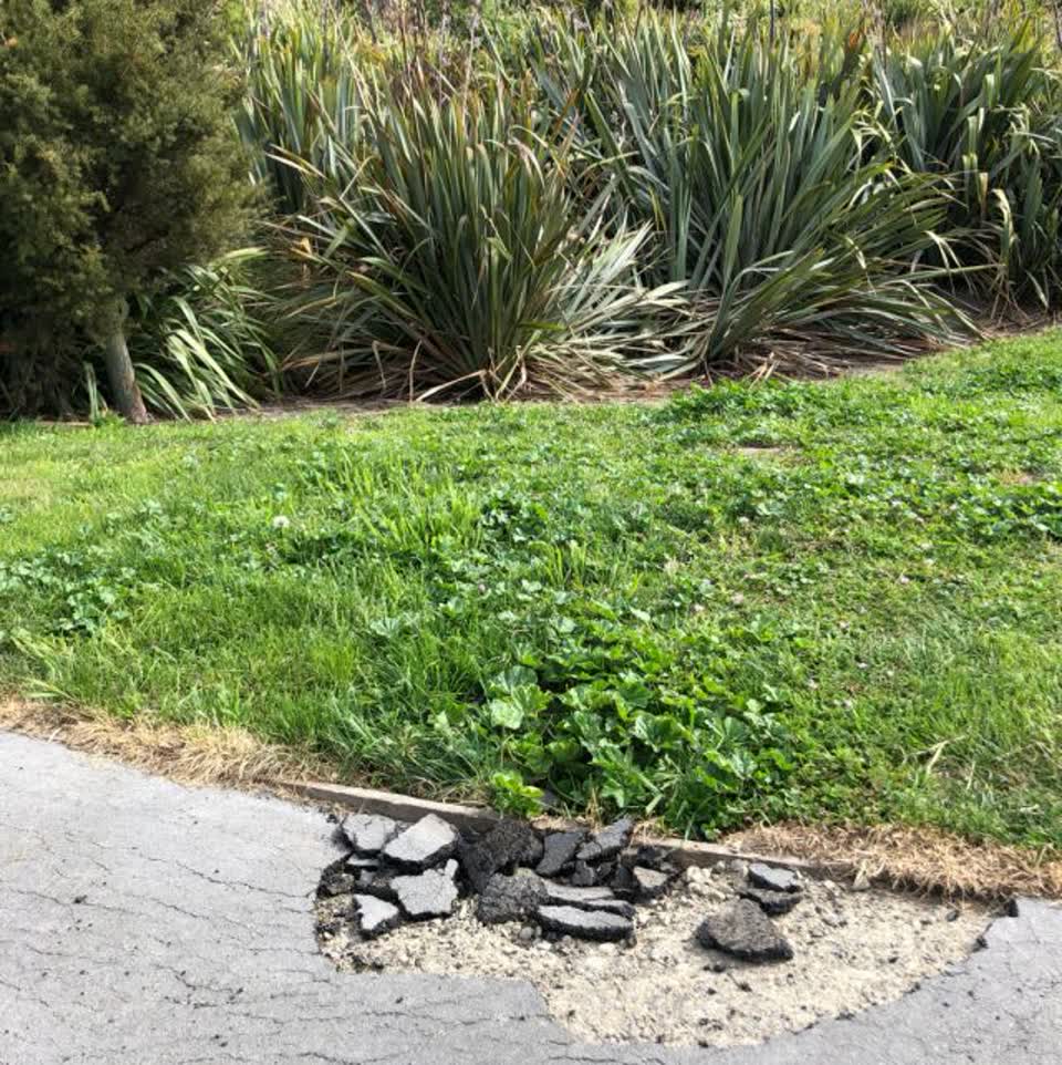 The photograph attached to this parks report