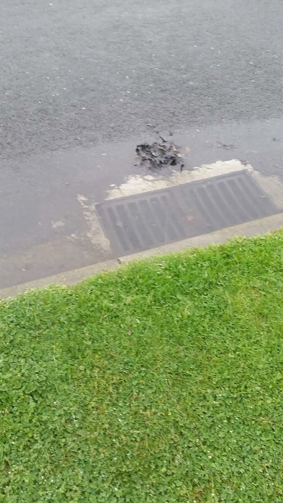 The photograph attached to this wastewater/stormwater report