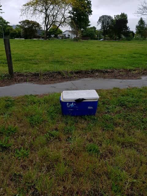 Rubbish/Recycling — a report photo