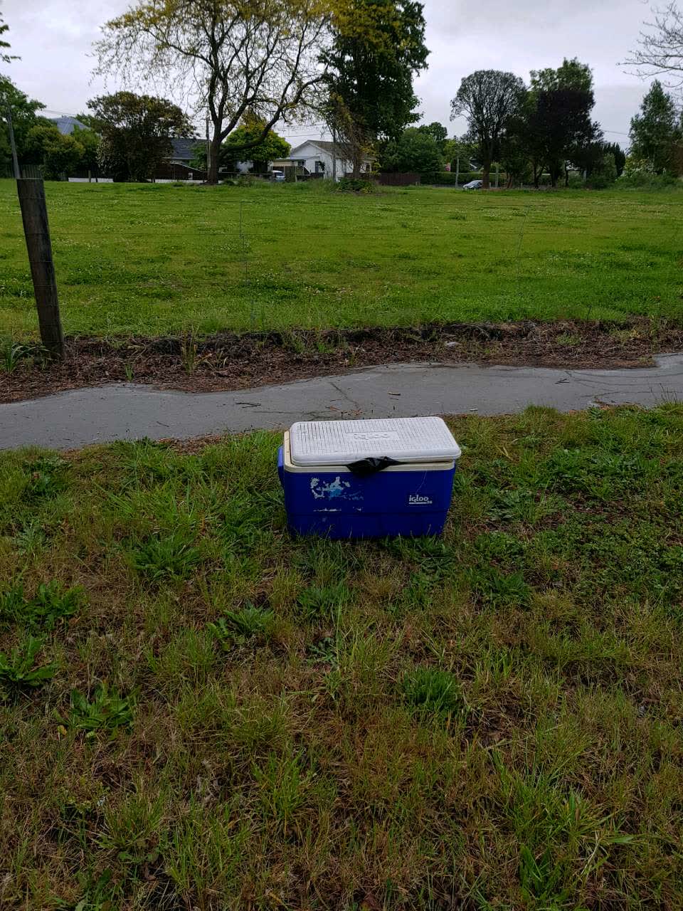The photograph attached to this rubbish/recycling report