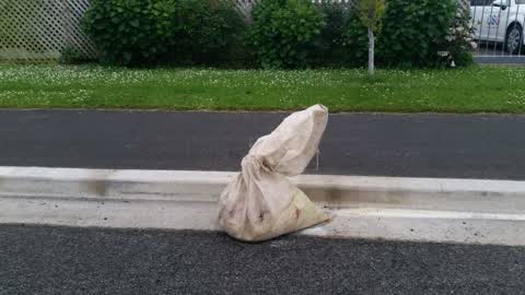 Rubbish/Recycling, a report photo