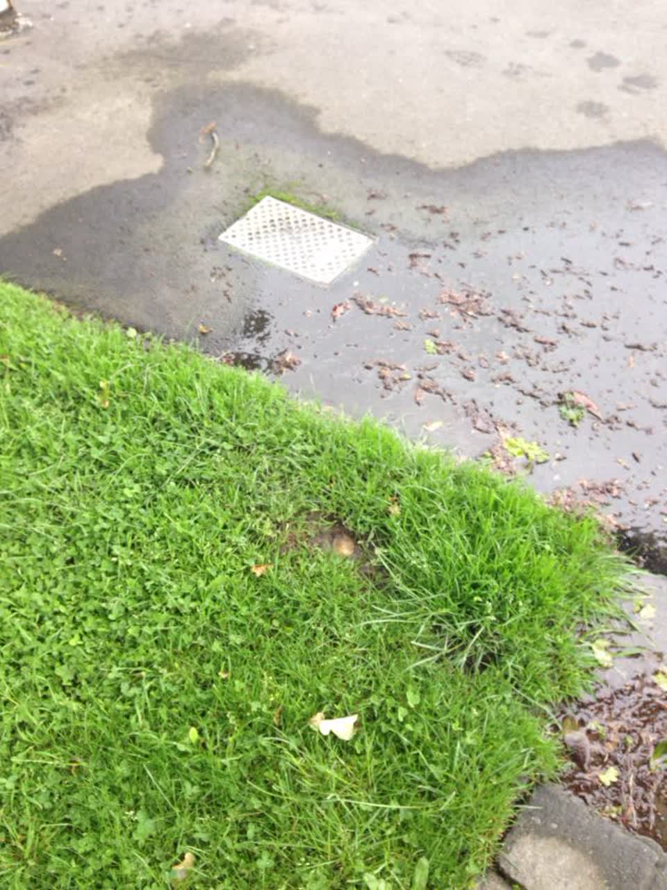 The photograph attached to this water supply report