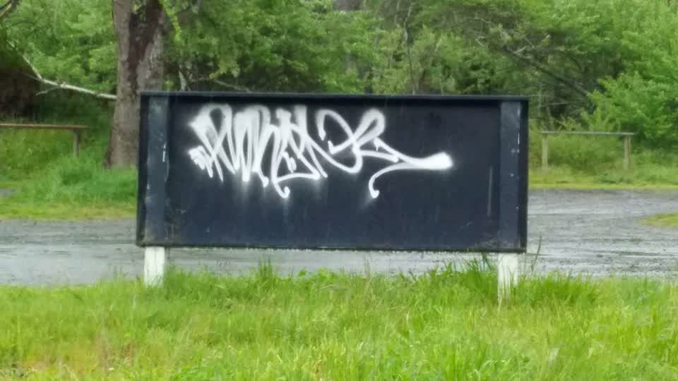 The photograph attached to this graffiti report