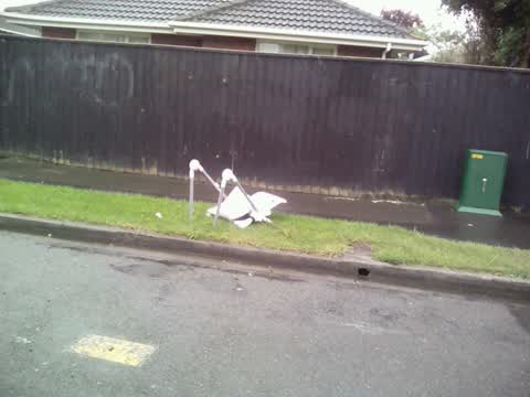 Rubbish/Recycling, a report photo