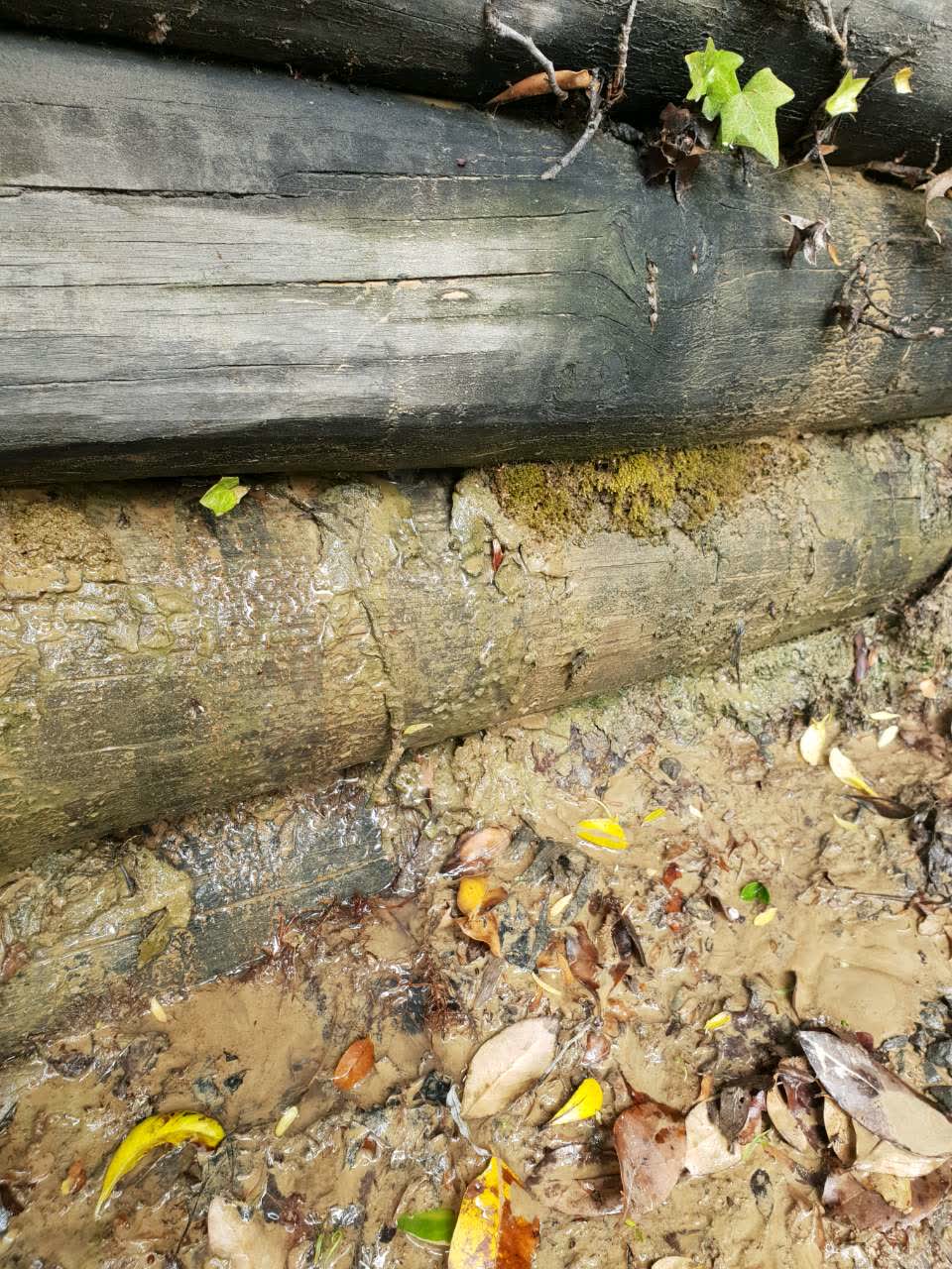 The photograph attached to this wastewater/stormwater report