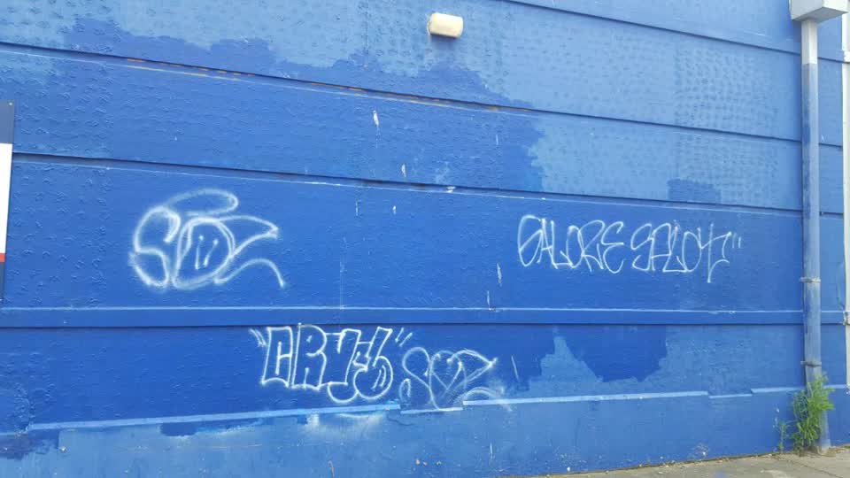 The photograph attached to this graffiti report