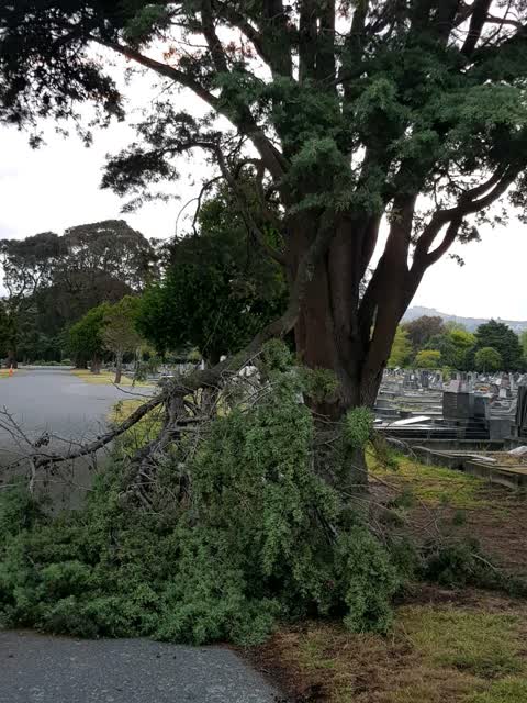 Parks — a report photo