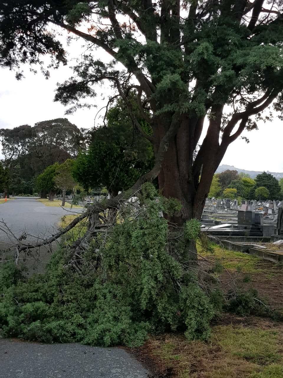 The photograph attached to this parks report