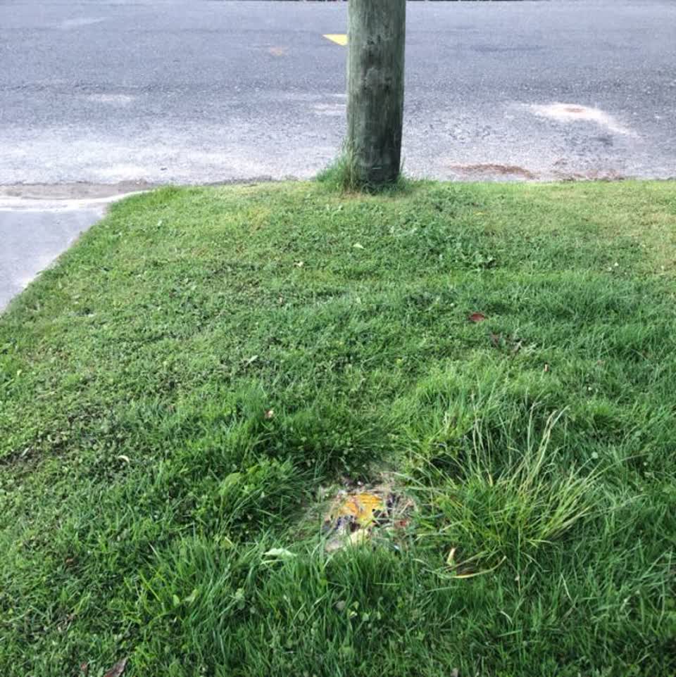 The photograph attached to this water supply report