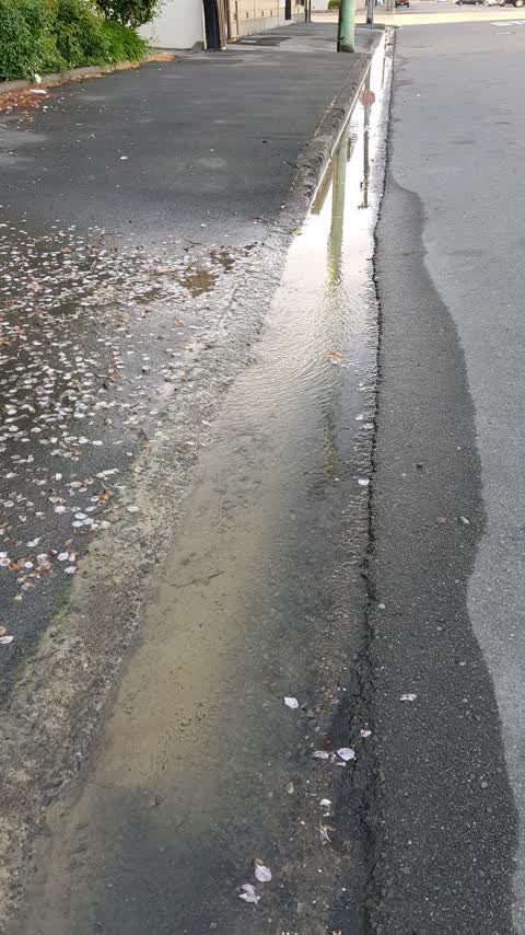 Water Supply, a report photo