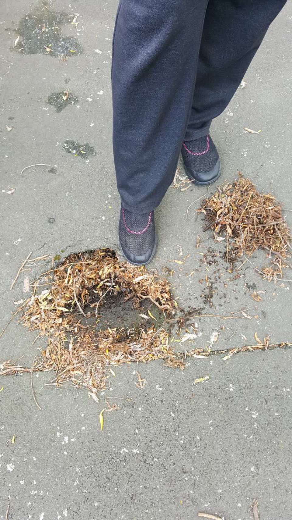The photograph attached to this roading/streets report