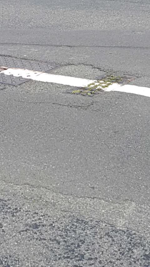Roading/Streets, a report photo