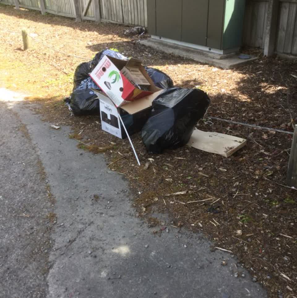 The photograph attached to this parks report