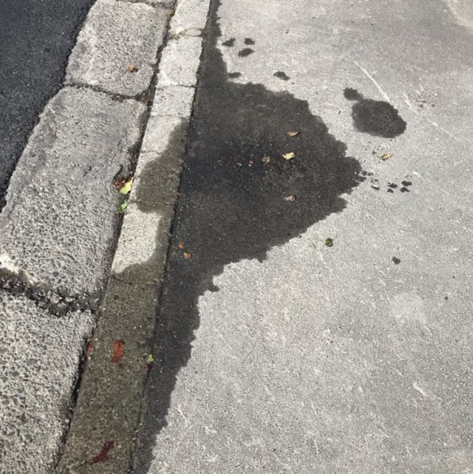 The photograph attached to this water supply report