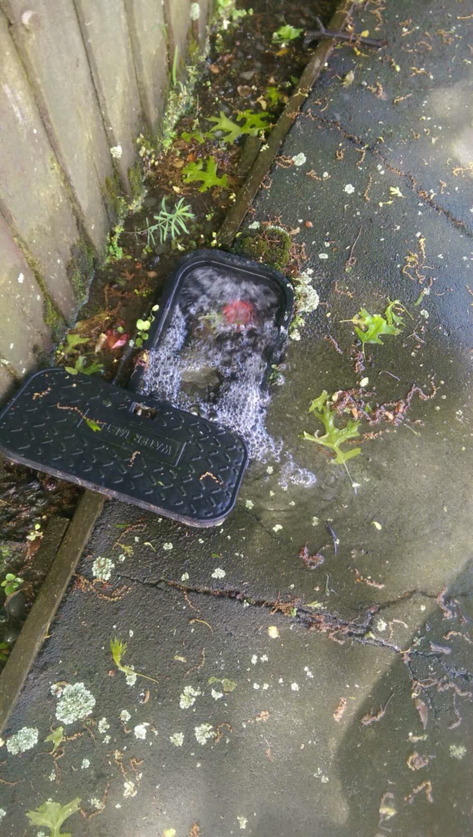 The photograph attached to this flooding report