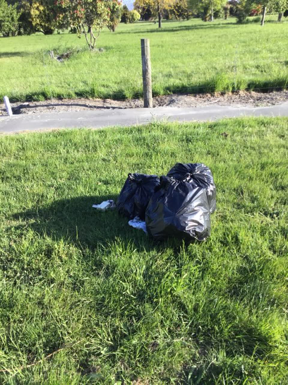 The photograph attached to this rubbish/recycling report